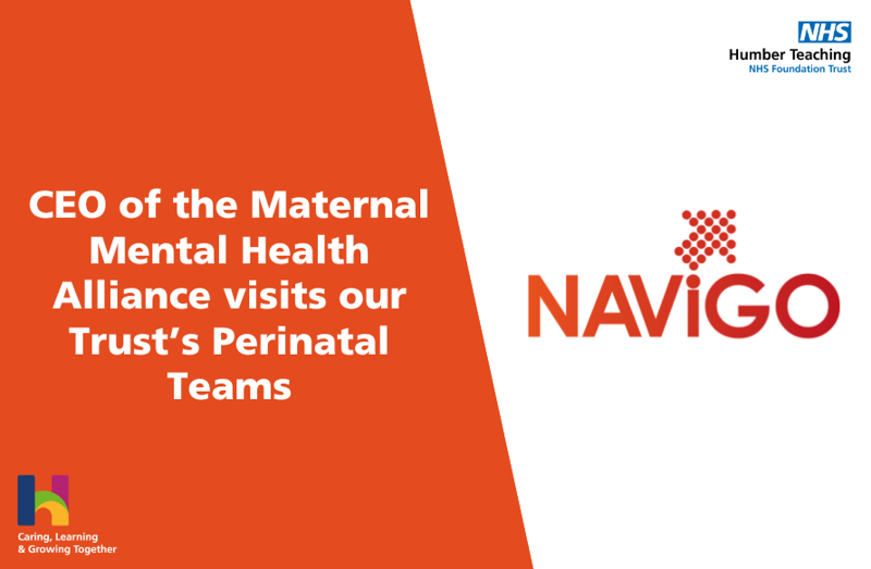 NAViGO Article Banner.png