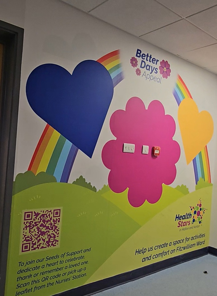 the seeds of support donor wall with a rainbow design and logo that reads 'better days appeal'
