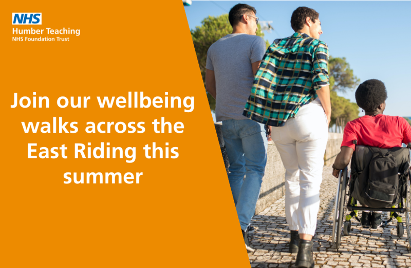 Wellbeing Walks Article Image.png
