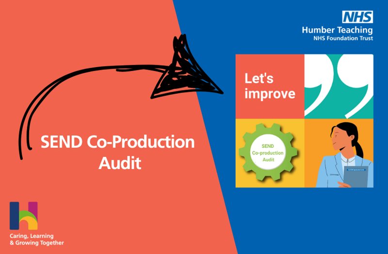 SEND Co-Production Audit.png